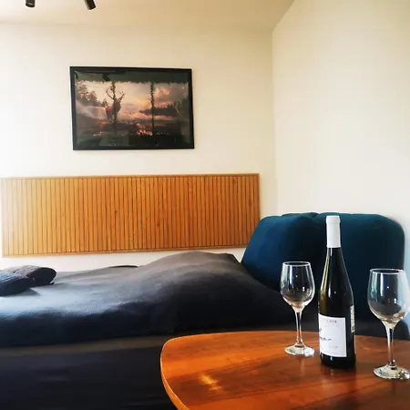 Apartament Chelmsko Slaskie Apartment Chelmsko Slaskie